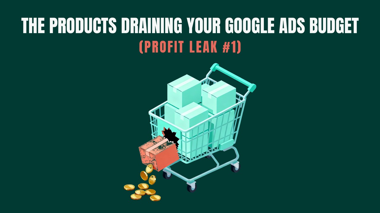 Profit Leak #1: The Products Draining Your Google Ads Budget